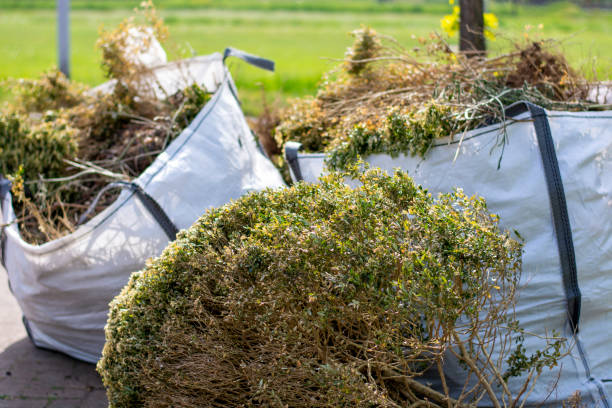Trusted Lorena, TX Junk Removal Services Experts